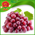 Yunnan Red Globe Uvas Fornecedor uvas doces preço barato